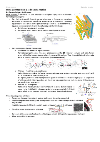Bloc-1-Introduccio.pdf