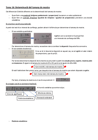 Tema-16-Determinacio-del-tamany-de-mostra.pdf