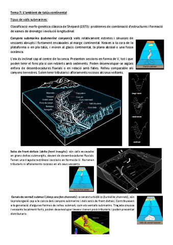 Tema-7-Ambient-de-talus-continental.pdf