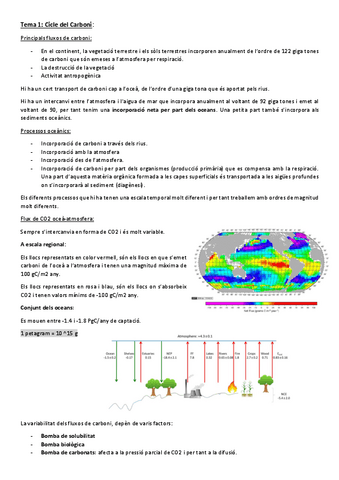 Tema-5-Cicle-del-carboni.pdf