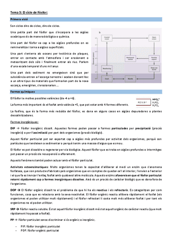 Tema-7-Cicle-del-Fosfor.pdf