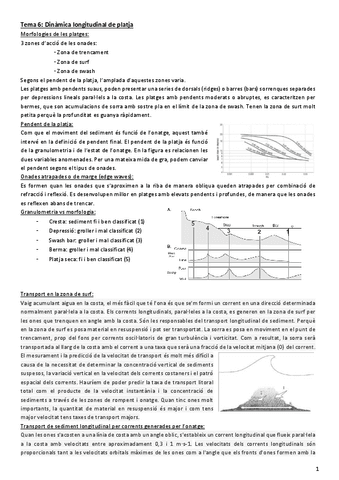 Tema-6-Dinamica-longitudinal.pdf