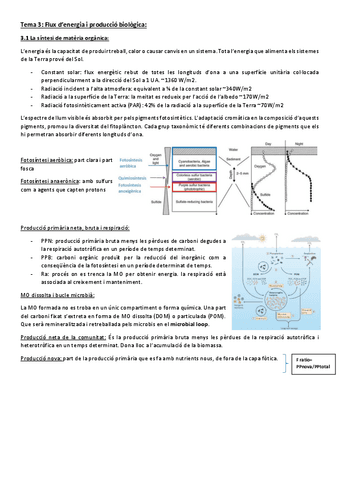 Tema-3-Flux-denergia-i-produccio-biologica.pdf