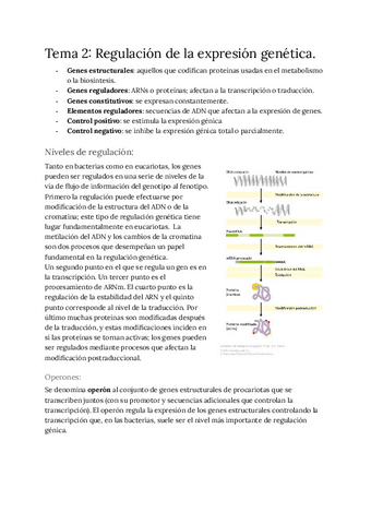 Tema-2-regulacion-de-la-expresion-genetica.pdf