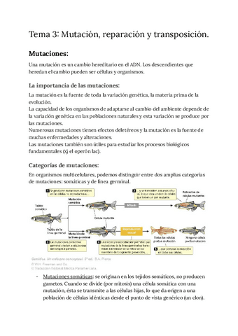 Tema-3-Mutacion-reparacion-y-transposicion.pdf