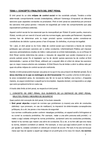 TEMA-1penal.pdf