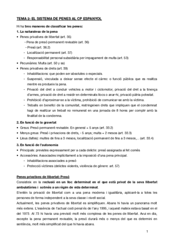 TEMA-2penal.pdf