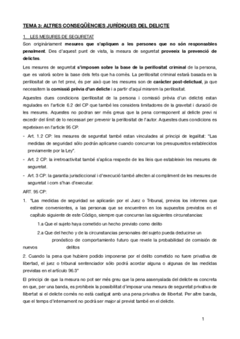 TEMA-3penal.pdf