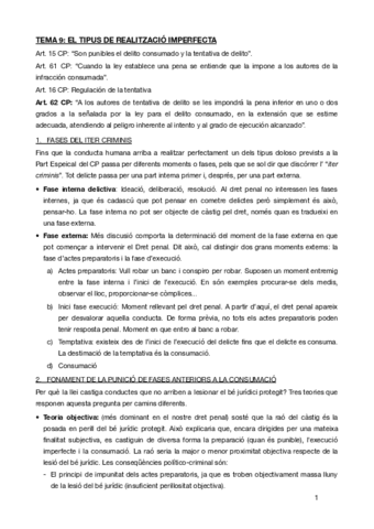 TEMA-9penal.pdf