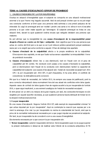 TEMA-16penal.pdf