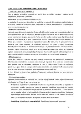 TEMA-17penal.pdf