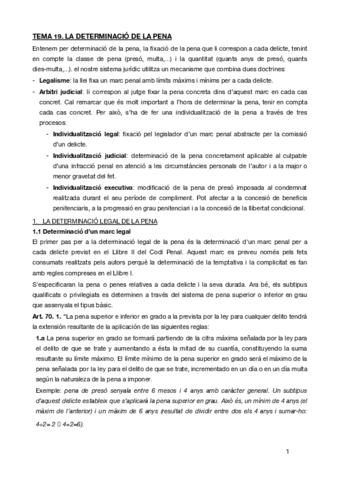 TEMA-19penal.pdf