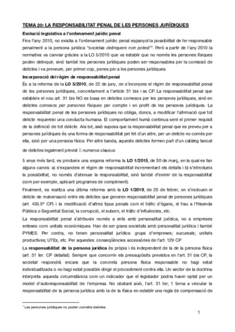 TEMA-20penal.pdf