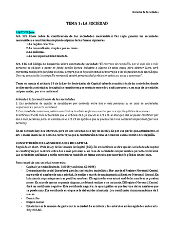 Temario-derecho-de-sociedades.pdf