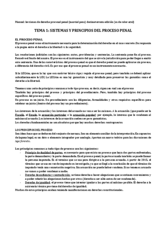 Temario-derecho-procesal-penal.pdf