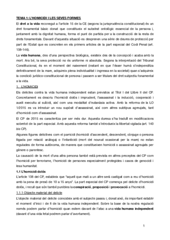 TEMA-1penal-especial.pdf