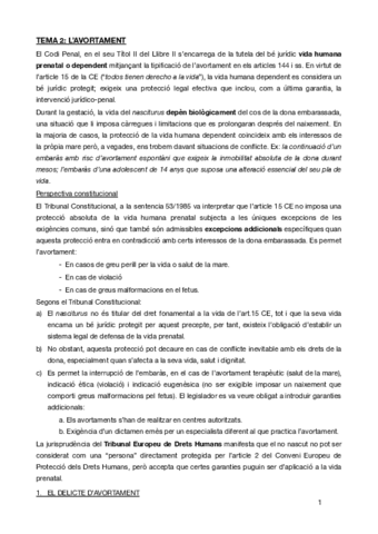 TEMA-2penal-especial.pdf
