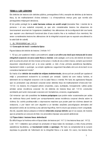 TEMA-3penal-especial.pdf