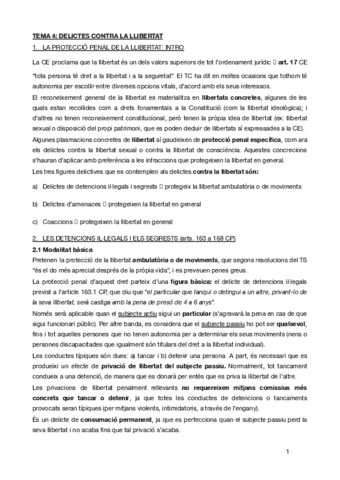 TEMA-4penal-especial.pdf