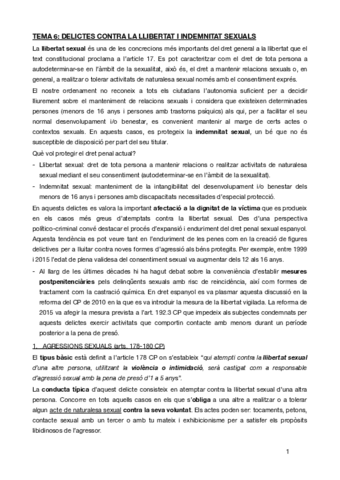 TEMA-6penal-especial.pdf