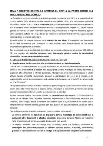 TEMA-7penal-especial.pdf