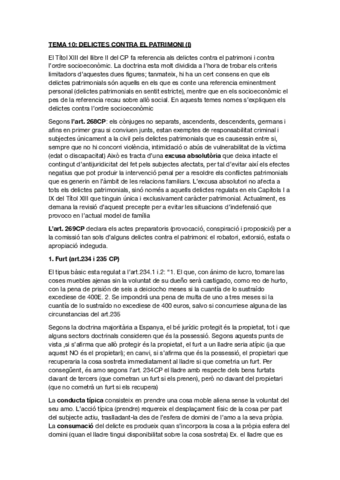 TEMA-10penal-especial.pdf