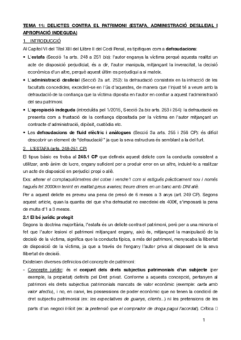 TEMA-11penal-especial.pdf