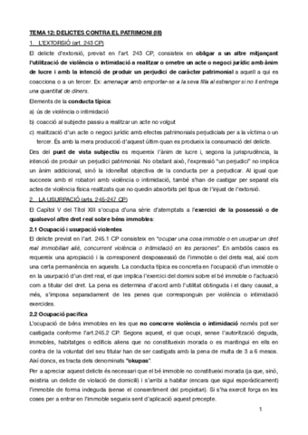 TEMA-12penal-especial.pdf