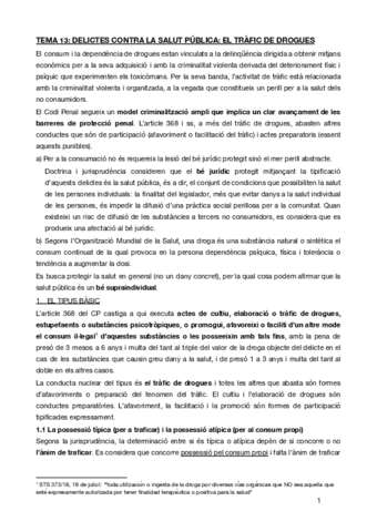 TEMA-13penal-especial.pdf