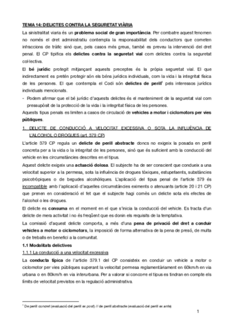 TEMA-14penal-especial.pdf