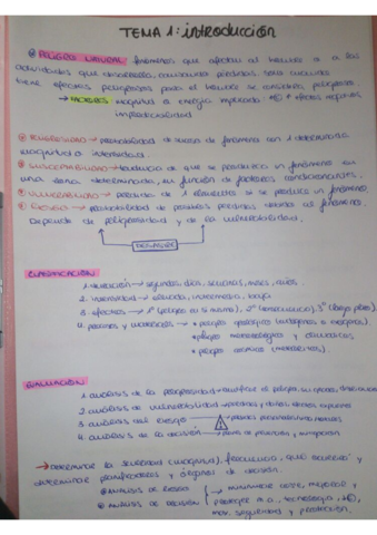 APUNTES RIESGOS NATURALES.pdf