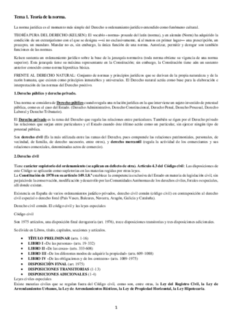 TEMARIO-CIVIL-CONJUNTO.pdf