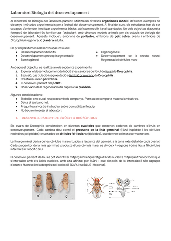 PRACTIQUES-BIO-DES.pdf