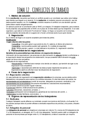 TEMA-12.-CONFLICTOS-DE-TRABAJO.pdf