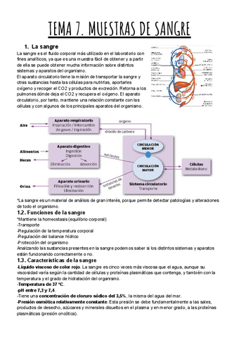 TEMA-6.-MUESTRAS-DE-SANGRE.pdf