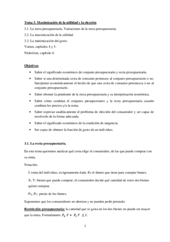 Tema-3-MaximizaciAn-de-la-utilidad-y-la-elecciAn.pdf
