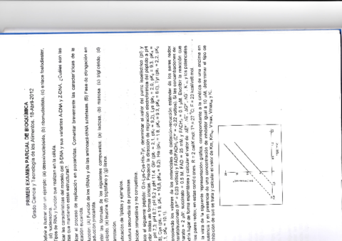 Examenes Bioquímica.pdf