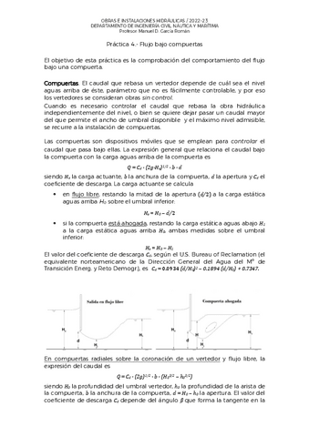 oihpractica4.pdf