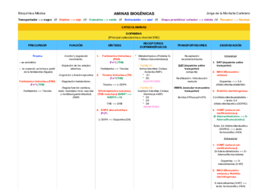 CUADRO SÍNTESIS- LIBERACIÓN Y CATABOLISMO CATECOLAMINAS.pdf