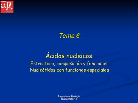 Tema 06.Ácidos nucleicos.pdf