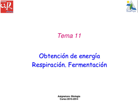 Tema 11.Respiración.pdf