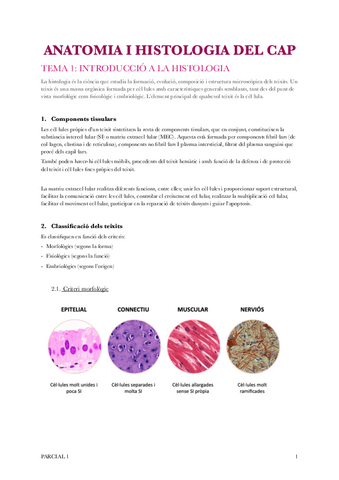 Anato-Parcial-1-PDF.pdf