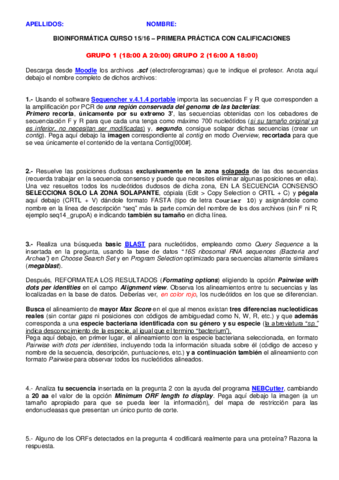 2015_BIF_primerapractica_calificada.pdf