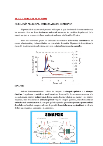 AP-FISIO-ANIMAL-COMP-TEMA-2-WH.pdf