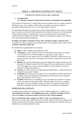 TEMA-4 CIVIL II.pdf