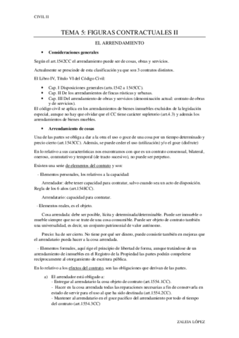 TEMA-5 CIVIL II.pdf