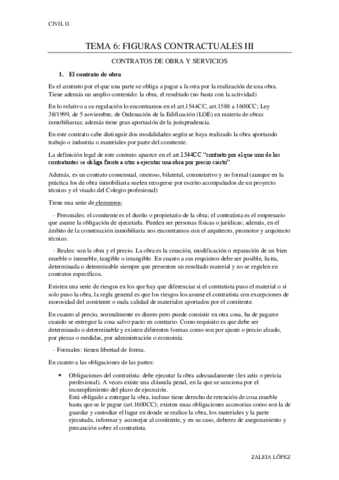 TEMA-6 CIVIL II.pdf