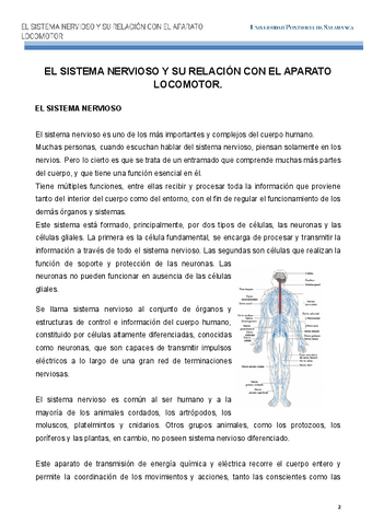 TRABAJO-EL-SISTEMA-NERVIOSO-Y-SU-RELACION-CON-EL-APARATO-LOCOMOTOR.docx.pdf