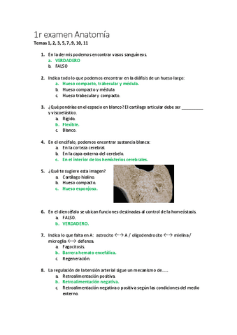 1-Parcial-anatomia-2020.pdf
