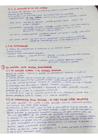 4.pdf